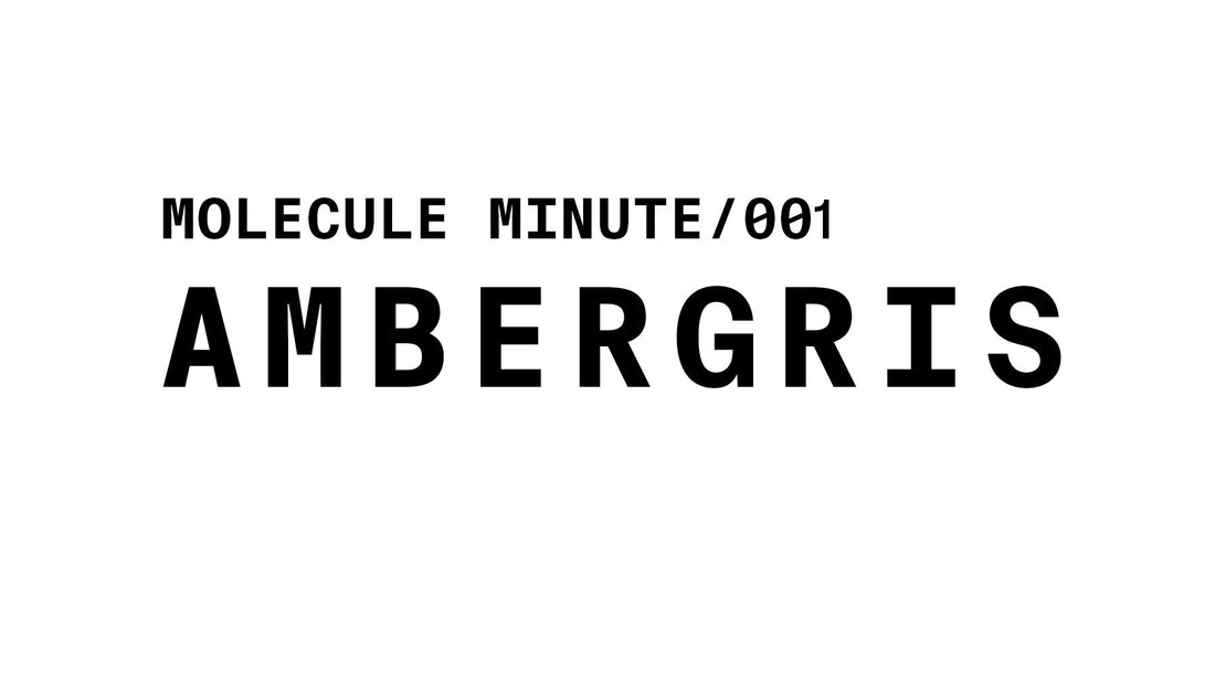 A simple title card for a series. It features bold, black text on a plain white background. The top line reads "MOLECULE MINUTE/001" in a smaller font, and the bottom line, "AMBERGIS," is displayed in a larger, more prominent font.