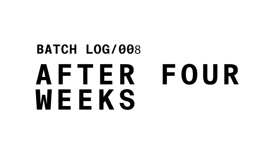 BATCH LOG /008 AFTER FOUR WEEKS GRAPHIC