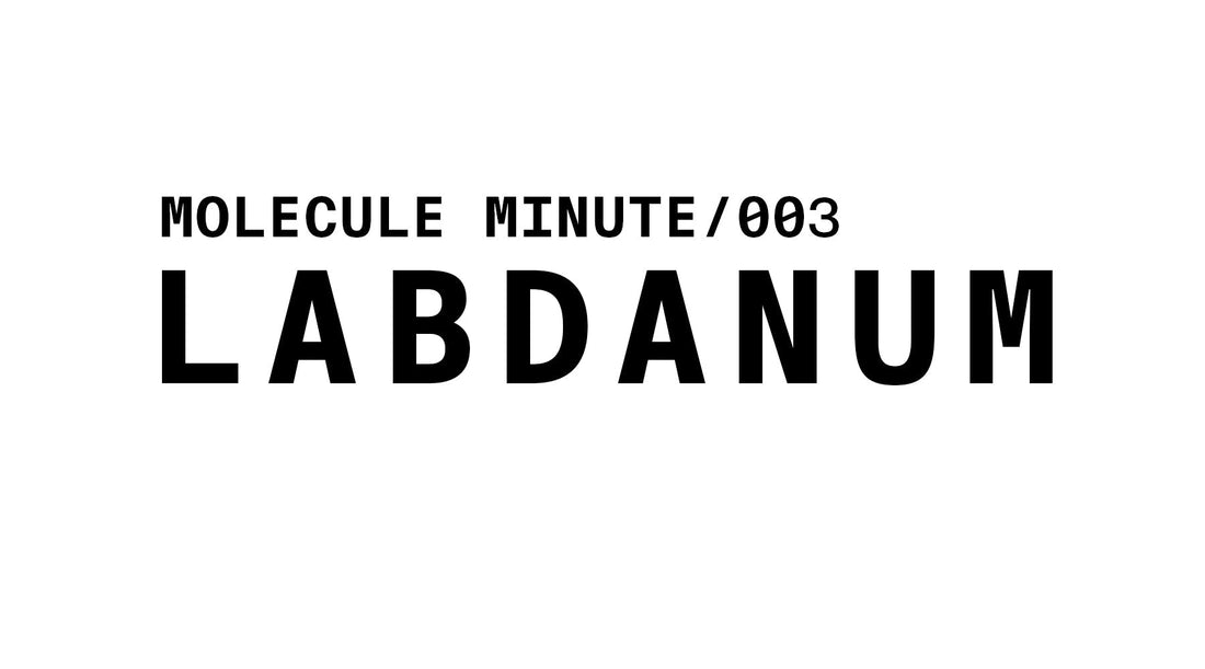 Title card: "MOLECULE MINUTE/003 LABDANUM" in black text on white background.