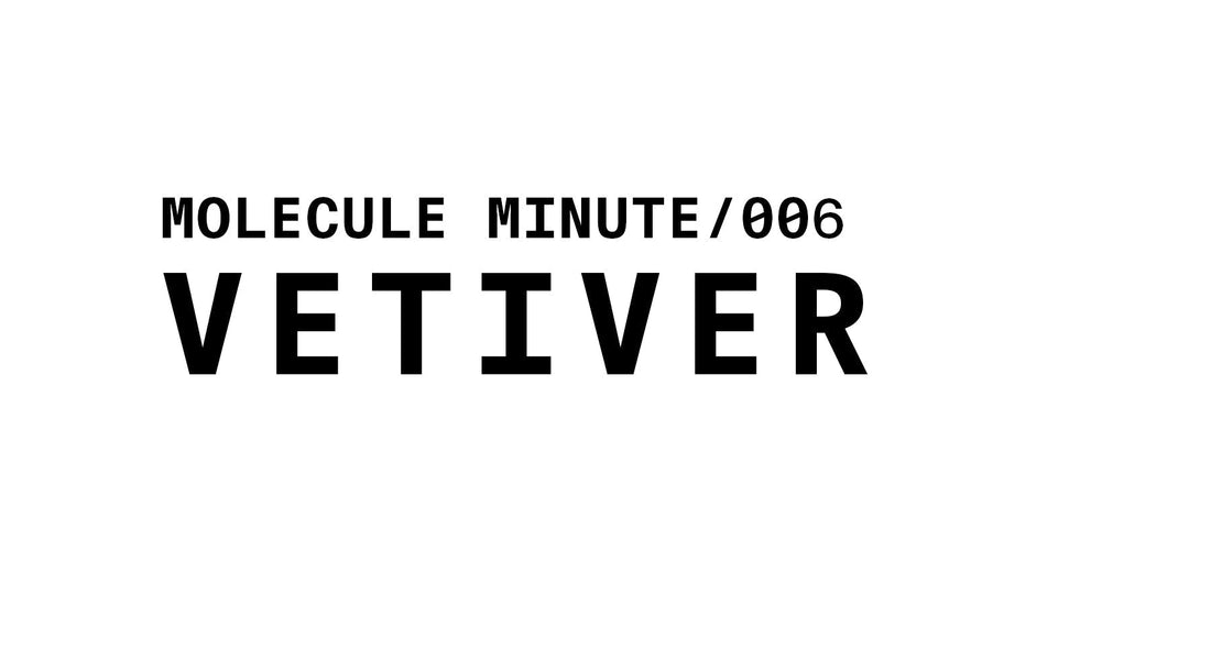 A simple title card with black text on a white background. It displays "MOLECULE MINUTE/006" in smaller text at the top, and "VETIVER" in large, bold text below it.