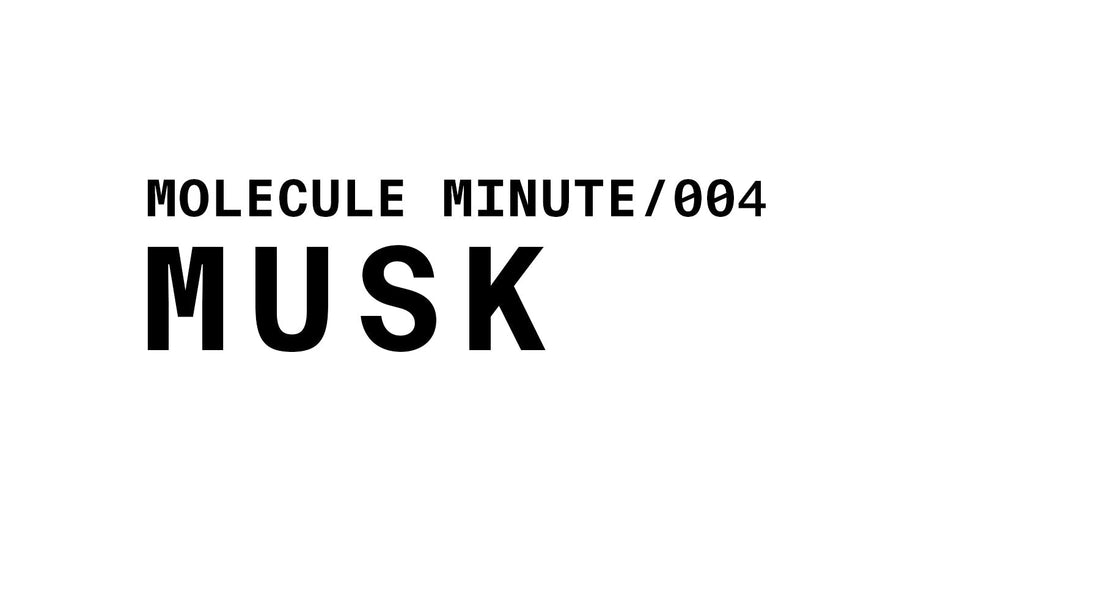 A simple title card with black text on a white background. It displays "MOLECULE MINUTE/004" in smaller text at the top, and "MUSK" in large, bold text below it.