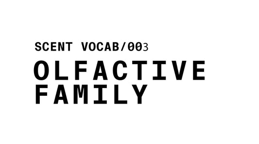 GRAPHIC READS SCENT VOCAB/003 OLFACTIVE FAMILY