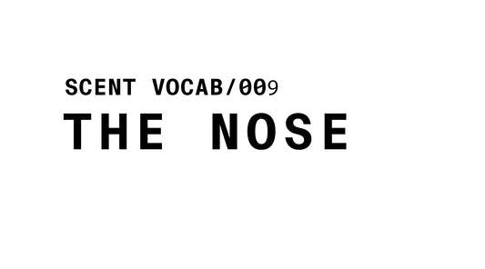 Minimalist black and white contour line drawing of a human nose on a pure white background. Clean, elegant single-line illustration in botanical/technical editorial style for Scent Vocab 009: The Nose