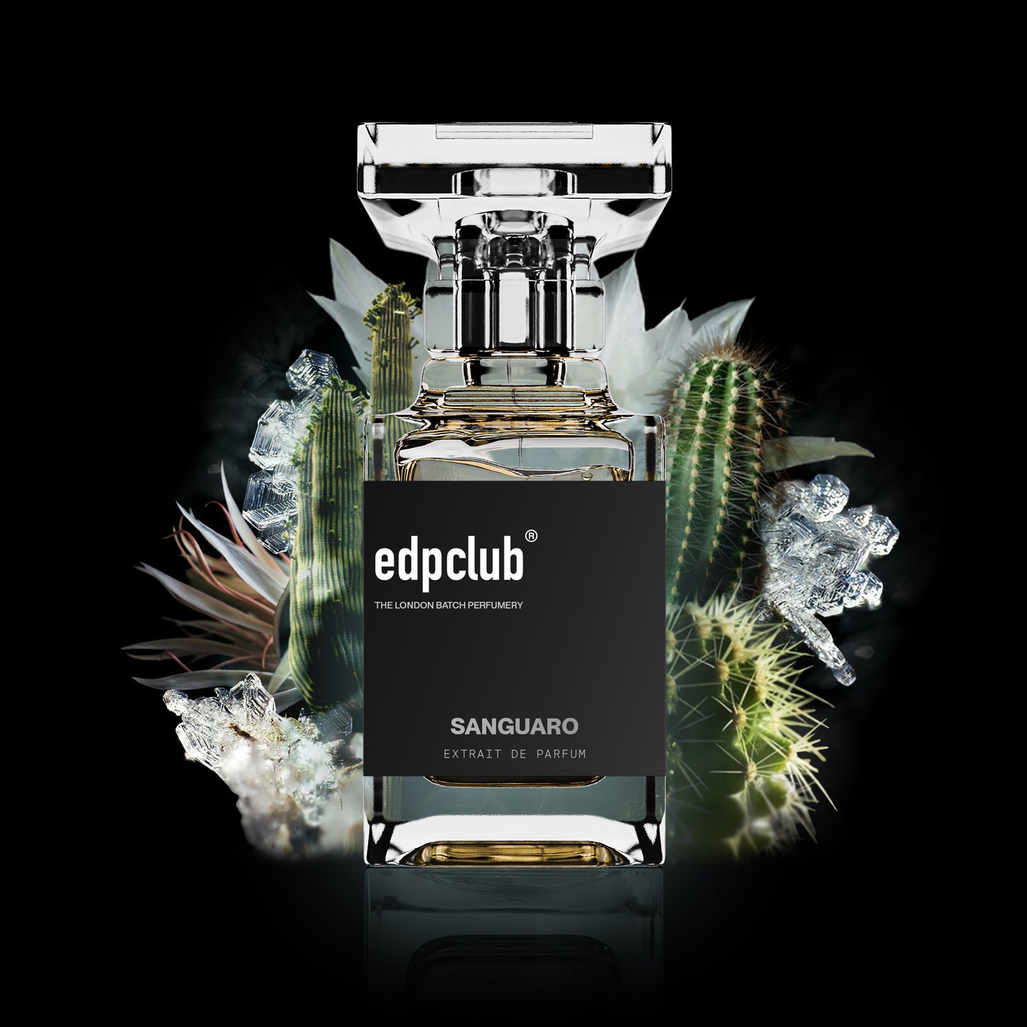 SANGUARO EXTRAIT DE PARFUM BY EDPCLUB