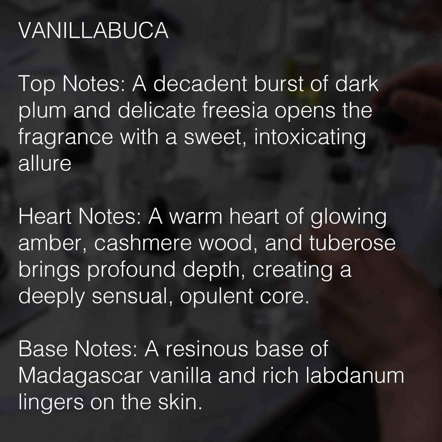 VANILLABUCA EXTRAIT DE PARFUM NOTES